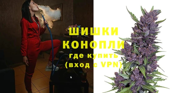 ПСИЛОЦИБИНОВЫЕ ГРИБЫ Вязьма