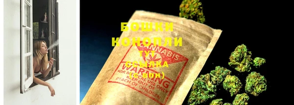 ПСИЛОЦИБИНОВЫЕ ГРИБЫ Вязьма