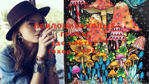 марки lsd Вяземский