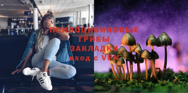 марки lsd Вяземский