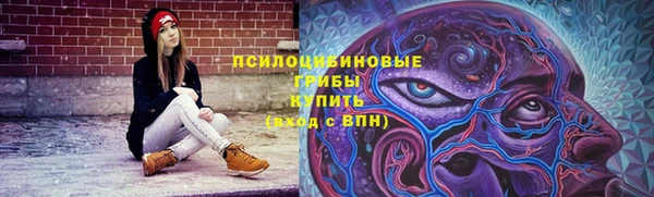 прущая мука Вязники