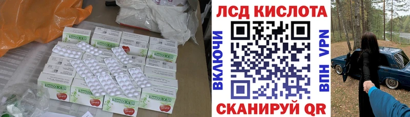 где купить наркотик  Новохопёрск  ЛСД экстази ecstasy 