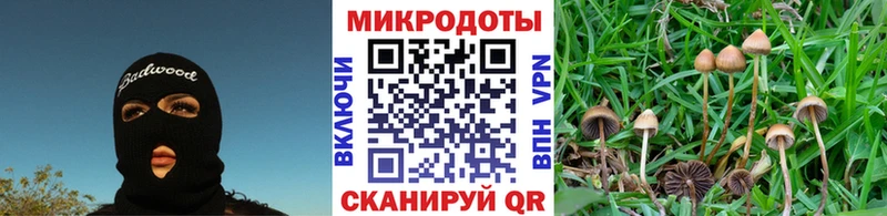 Псилоцибиновые грибы MAGIC MUSHROOMS сколько стоит Новохопёрск